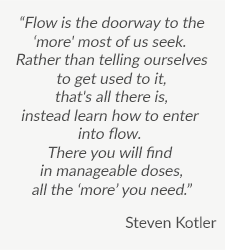 TFquotesStevenKotler1